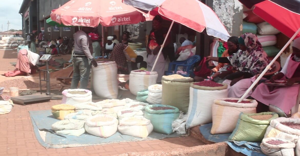 Maize Busa The Maize and Grain Business at Busia. - Official Website of Busia ...